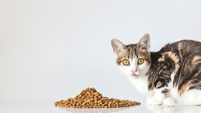 Veggie Animals cat food
