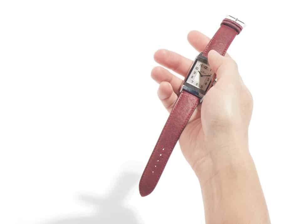 VitroLabs