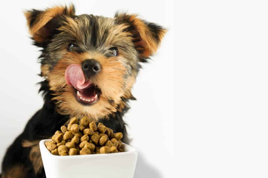 Dog puppy food