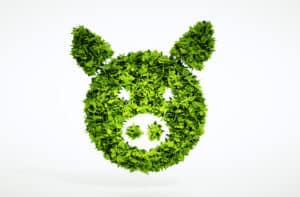 3d plant / pig image