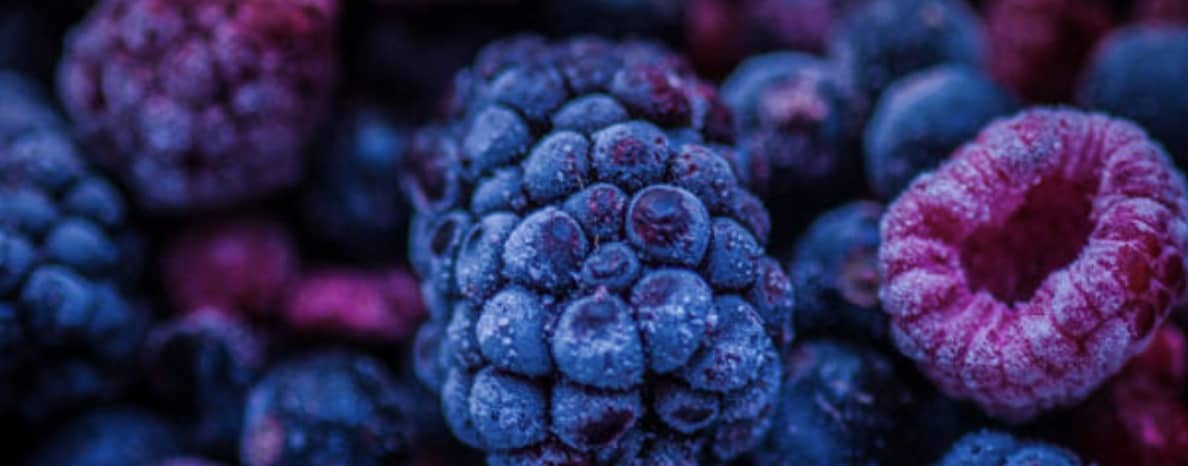 Ayana Bio berries close up