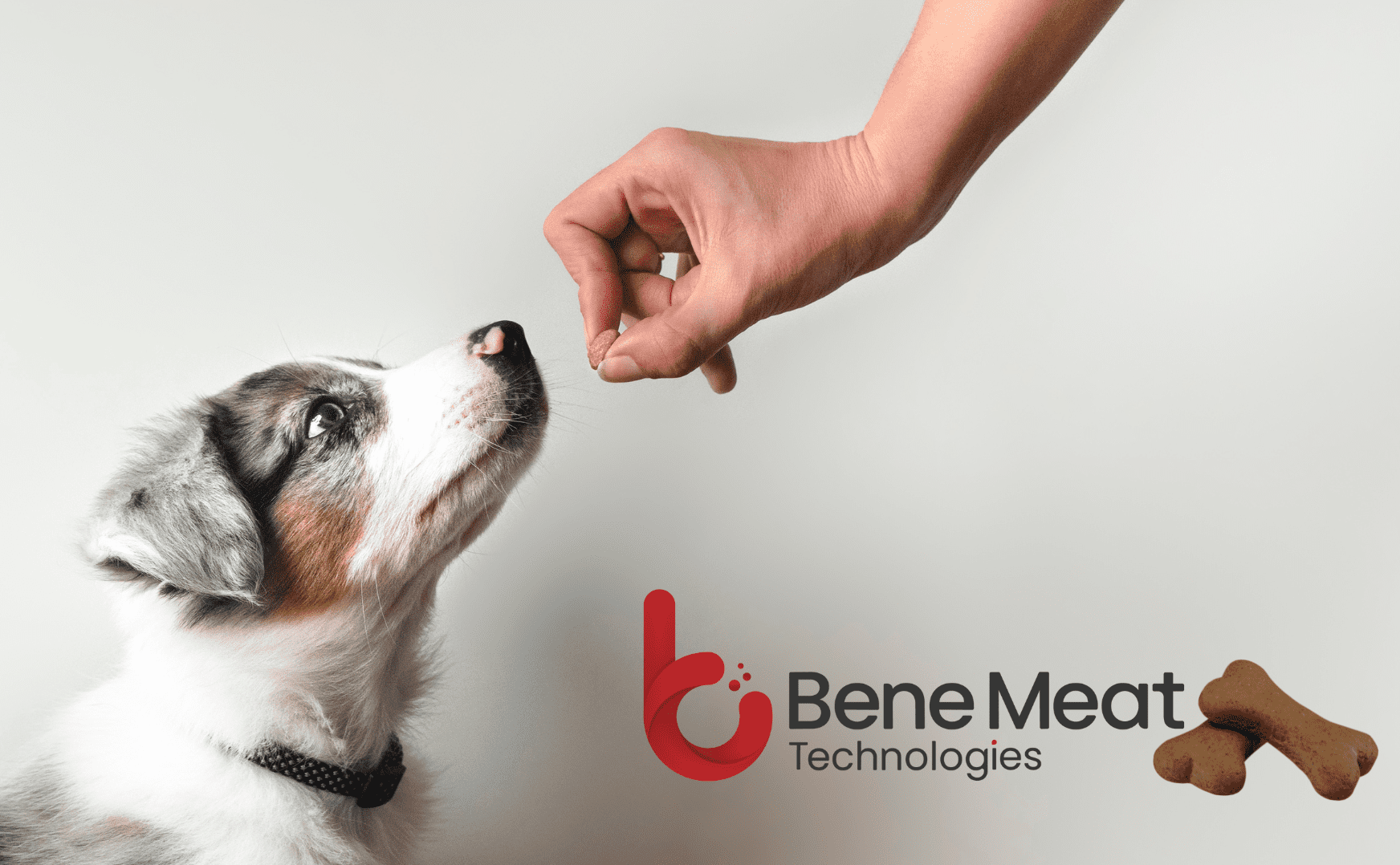 bene meat technologies logo with dog