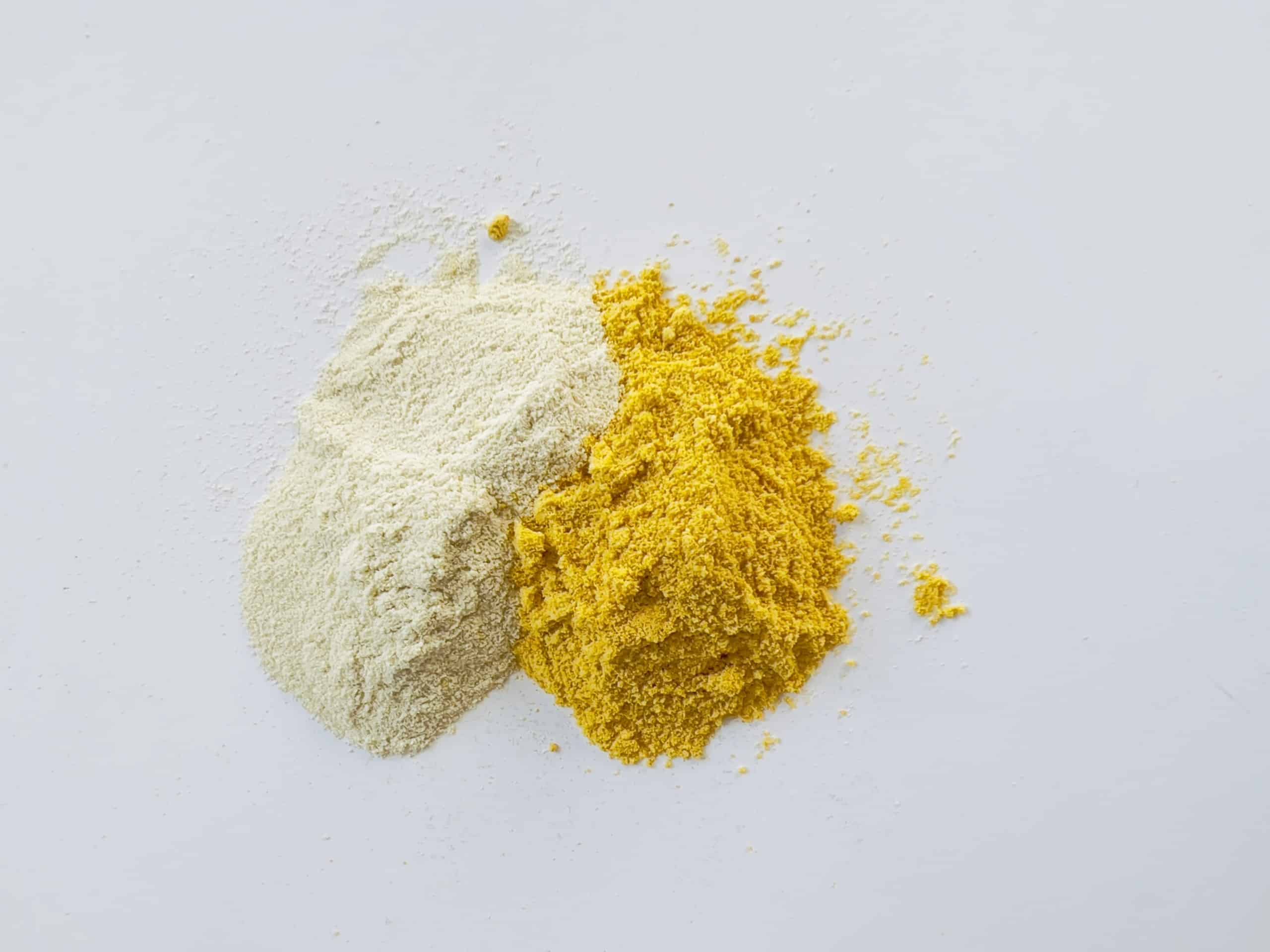 microalgae protein powder developed by brevel