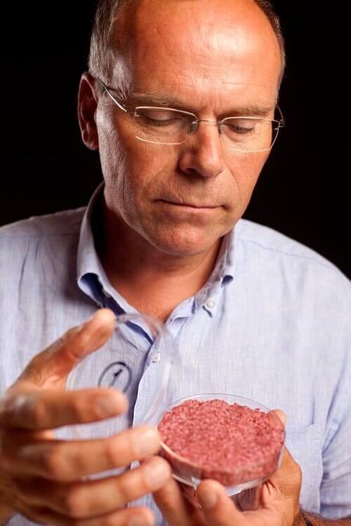 Mosa Meat