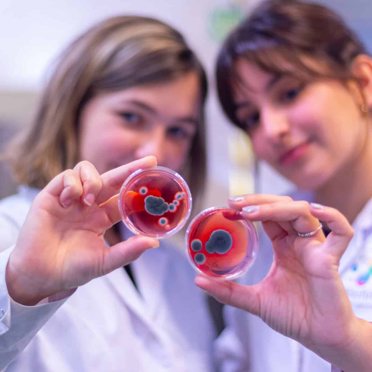 Michroma Scientists