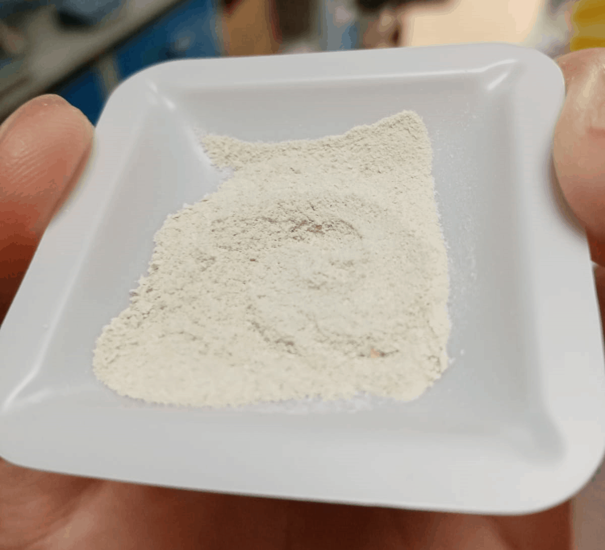 Microalgae Protein Concentrate Sophie's Bionutrients