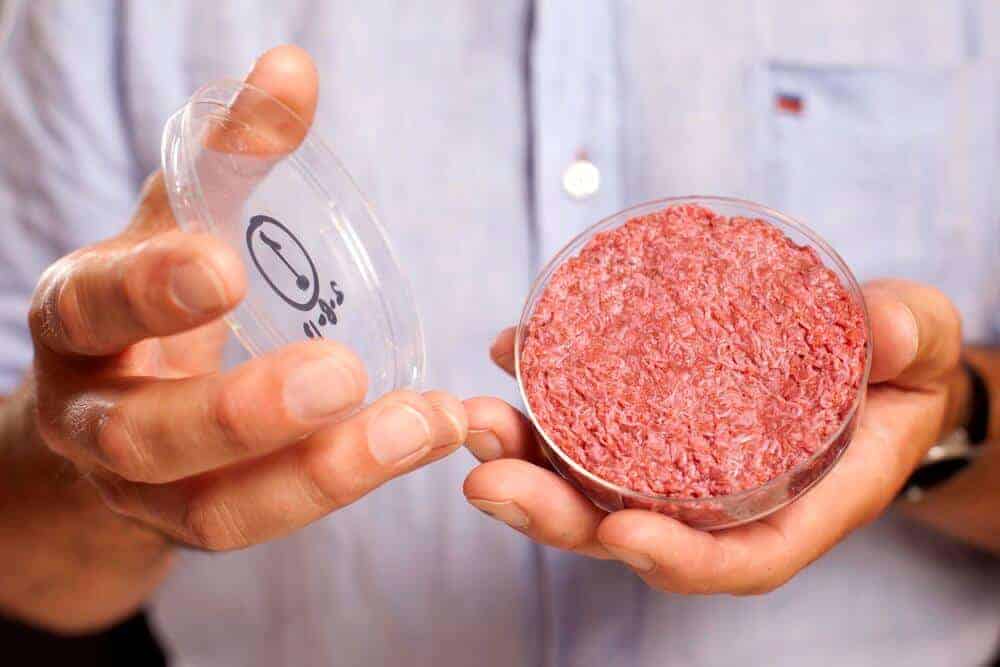 Mosa Meat