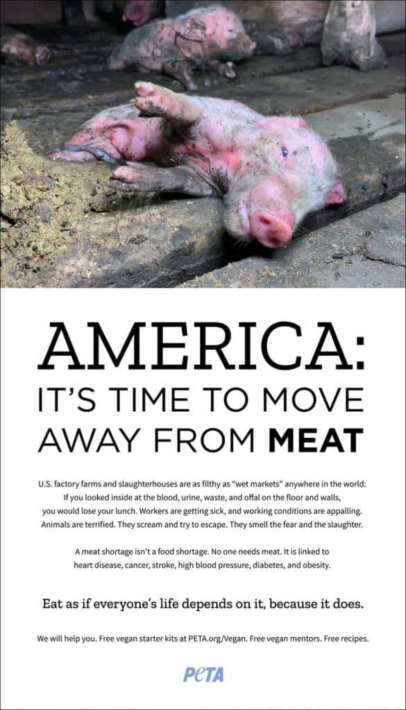 PETA Washington Post ad