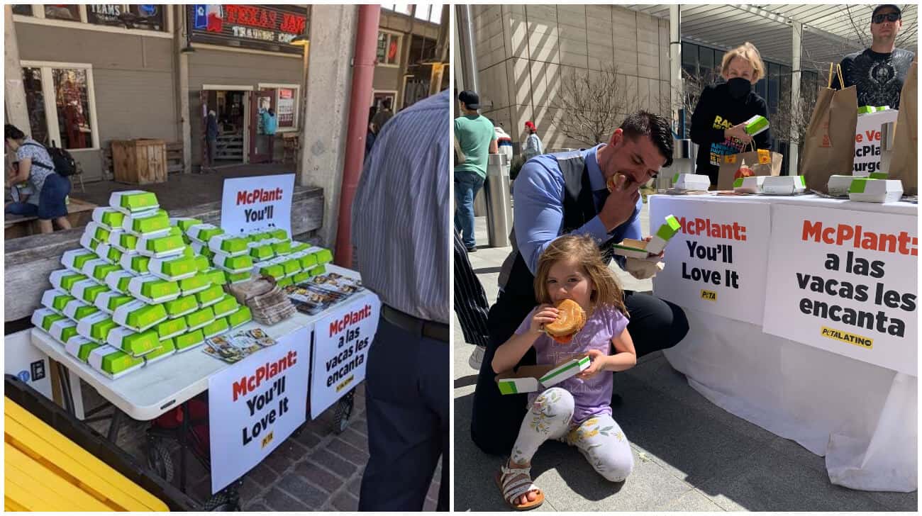 PETA McPlant Giveaway in Texas