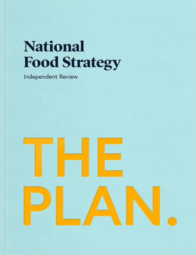 The-Plan-Cover