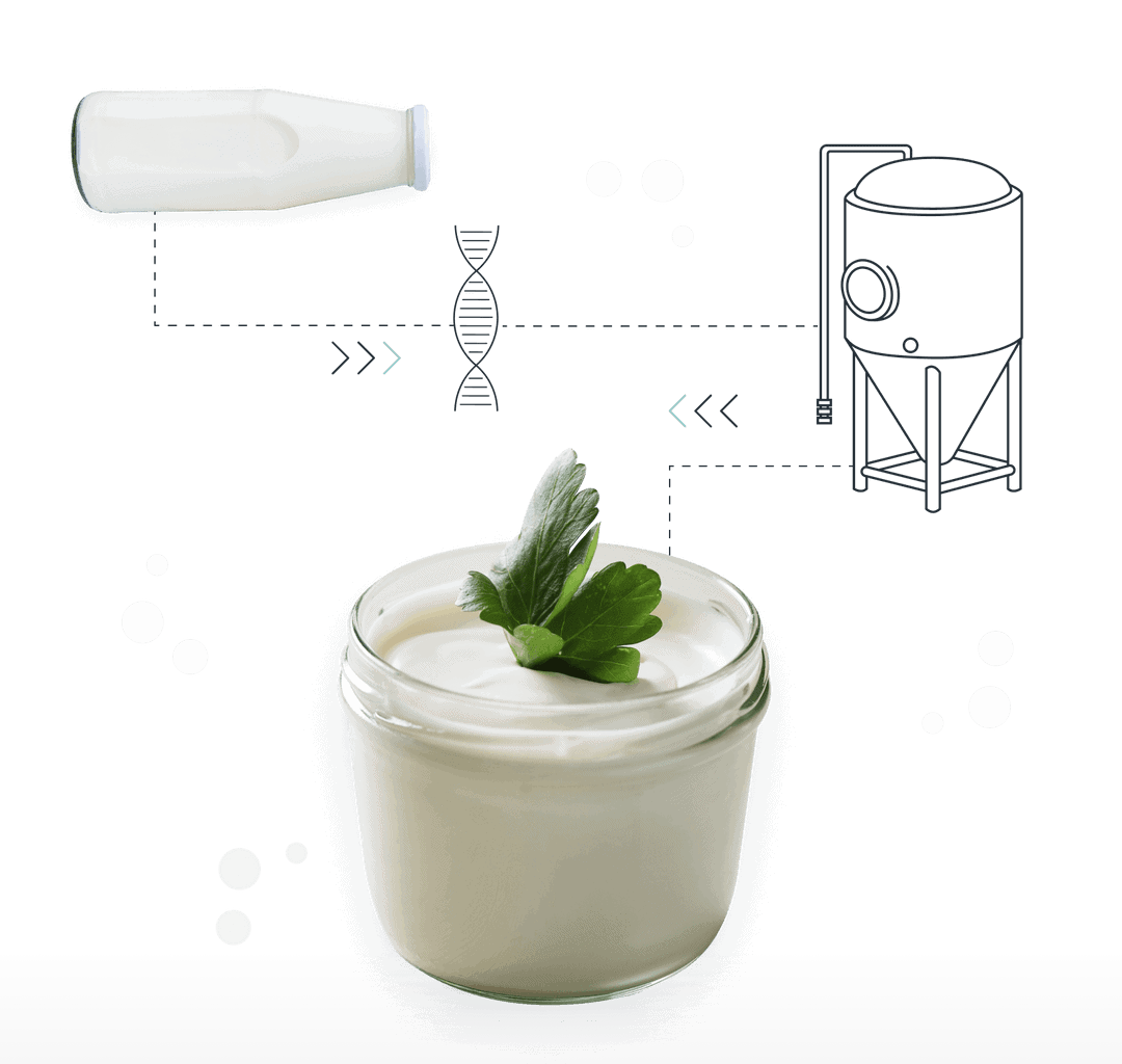 Vivici fermentation process
