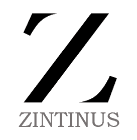 Zintinus logo