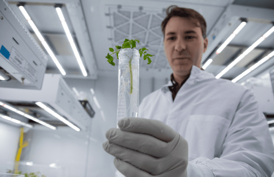 Elo Scientist in Lab