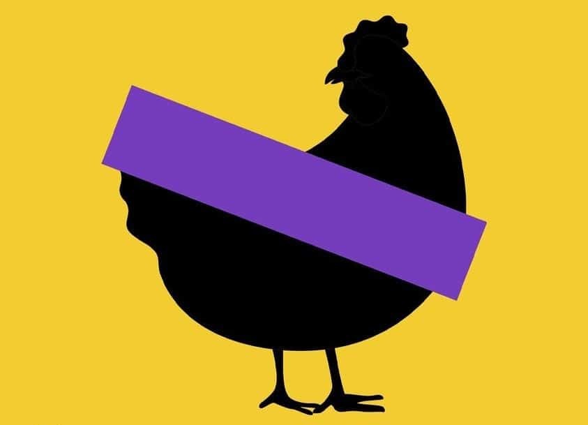 launch of notchicken