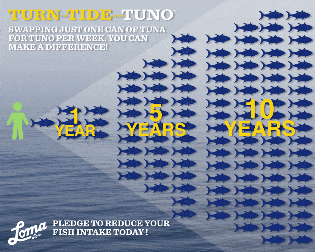turn the tide with TUNO
