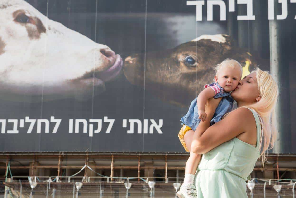 Vegan Friendly Dairy Billboard