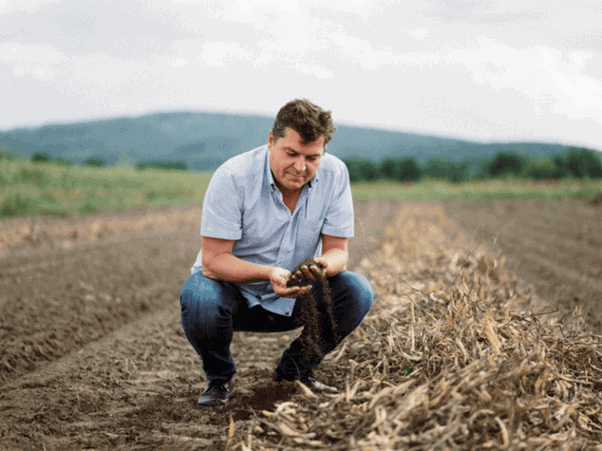 vegan farming