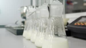 milch labor kultiviert zellen