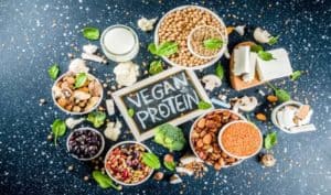 vegan protein ernährung vegetarisch alternativ