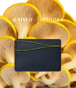 ASHOKA Paris