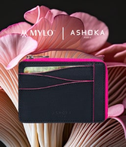 ASHOKA Paris