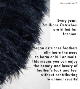 © EthicalPlumes